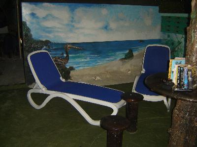 The terrace