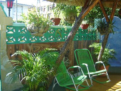 The terrace